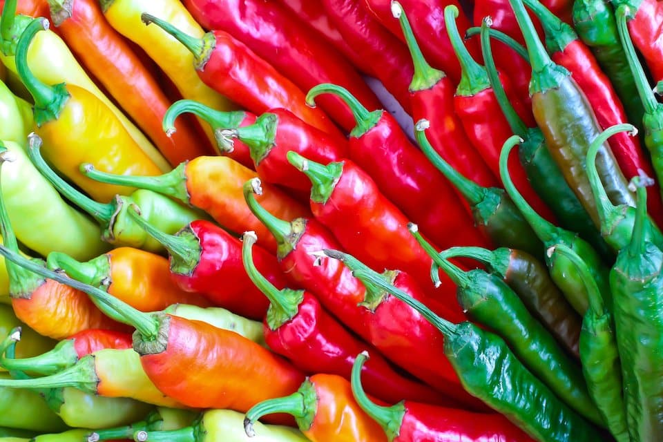 Cayenne Blend Organic Pepper Seeds – Heirloom, Non-GMO, High Germination Organic Garden Seeds