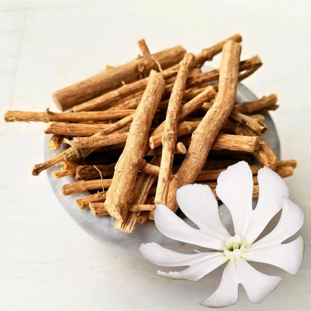 Silene Capensis seeds African Dream Root non GMO for garden planting