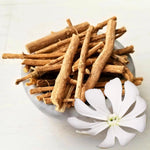 Silene Capensis seeds African Dream Root non GMO for garden planting