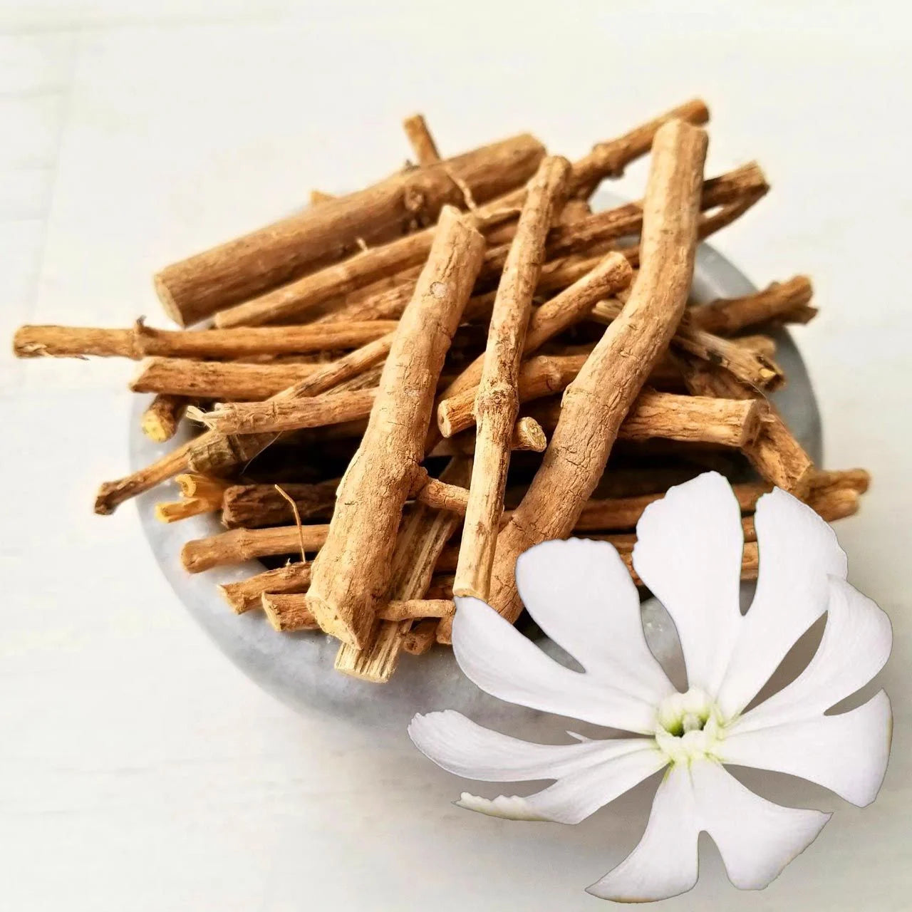 Silene Capensis seeds African Dream Root non GMO for garden planting