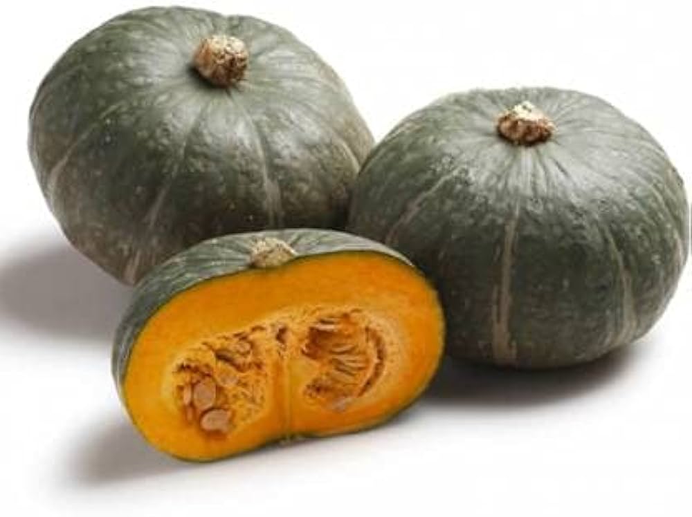 Silver Moon Pumpkin seeds – ghostly white variety for fall displays - Dharaseeds