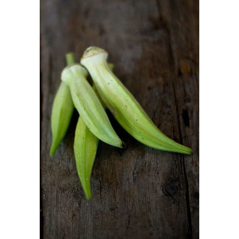 Silver Queen Okra Seeds | Tender Spineless Silver-Green Pods – Heirloom, Non-GMO, High Germination Organic Garden Seeds