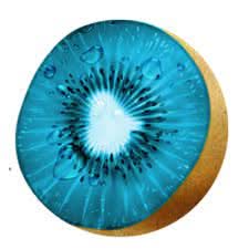 Closeup of Sky Blue Kiwi seeds for gardening