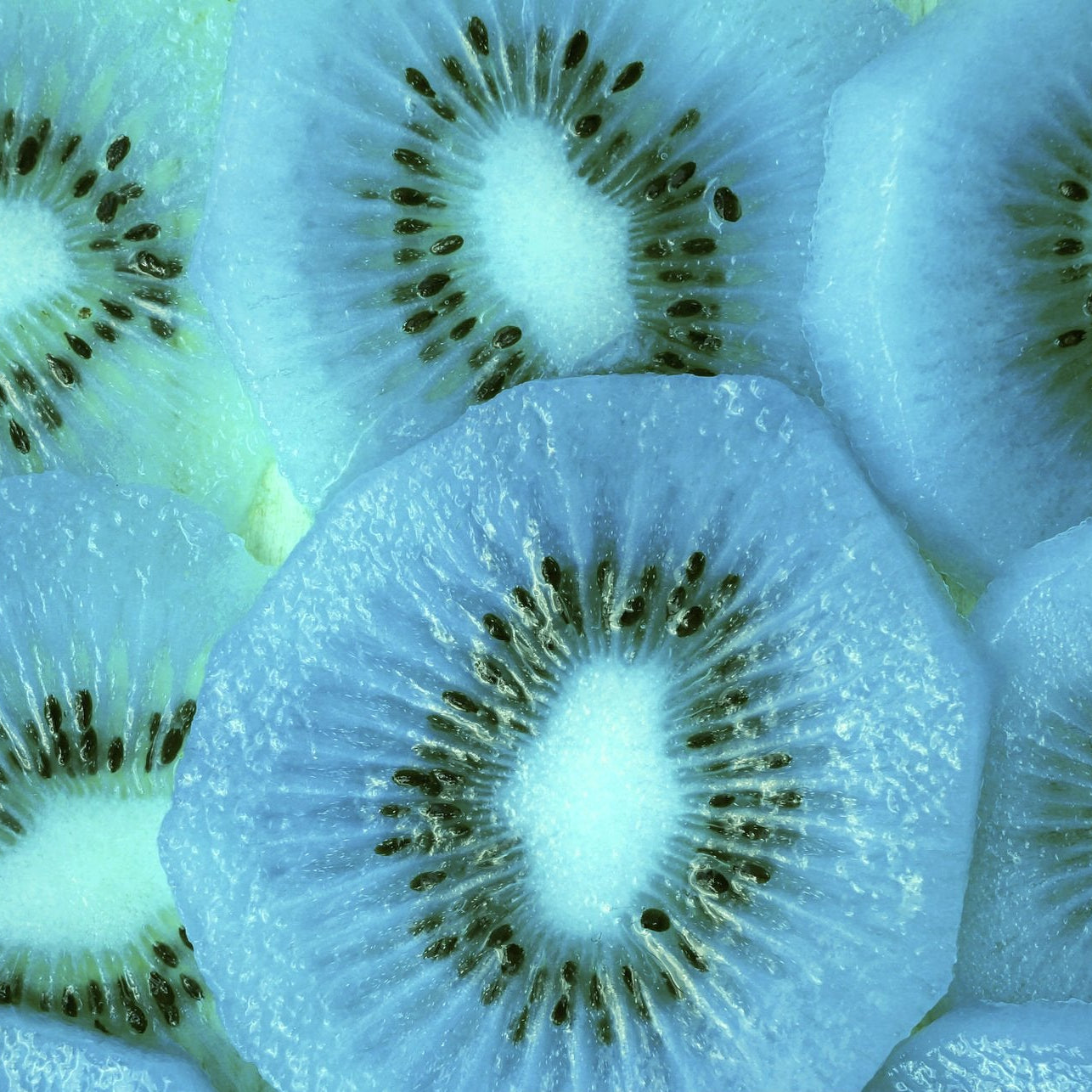 Sky Blue Kiwi seeds heirloom non-GMO for planting