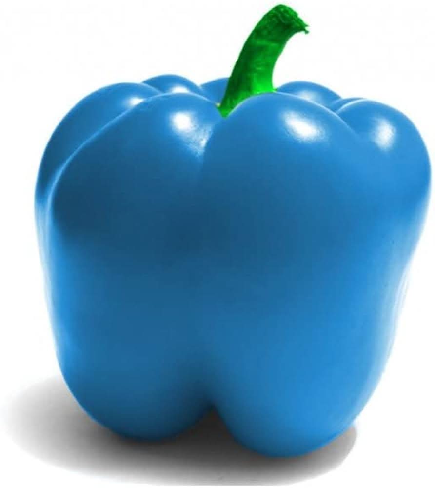 sky blue pepper seeds capsicum annuum for gardening