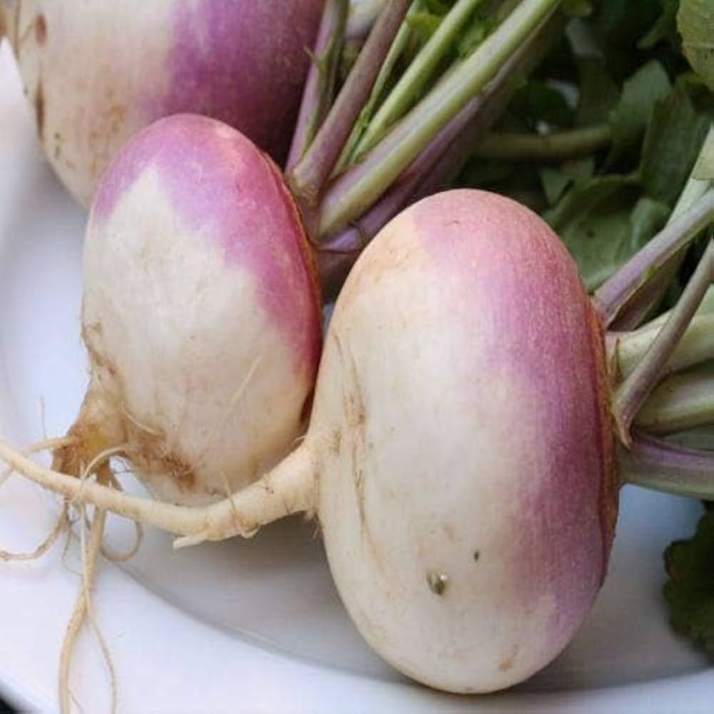 Slicemaster Vegetable seeds – perfect for fresh slicing vegetables - Dharaseeds