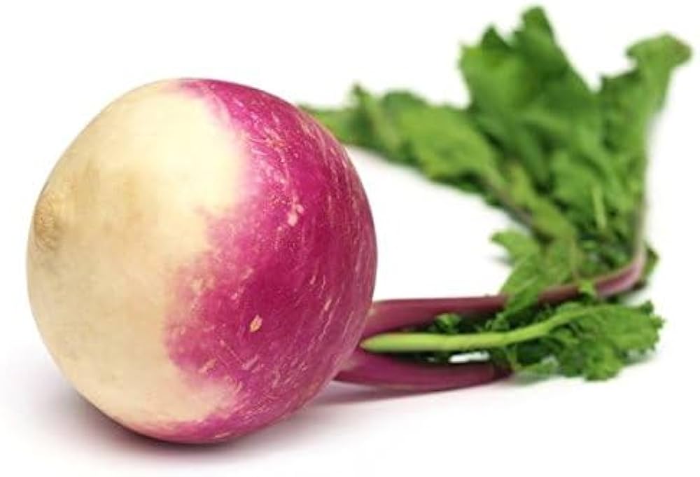 Slicemaster Vegetable seeds – perfect for fresh slicing vegetables - Dharaseeds