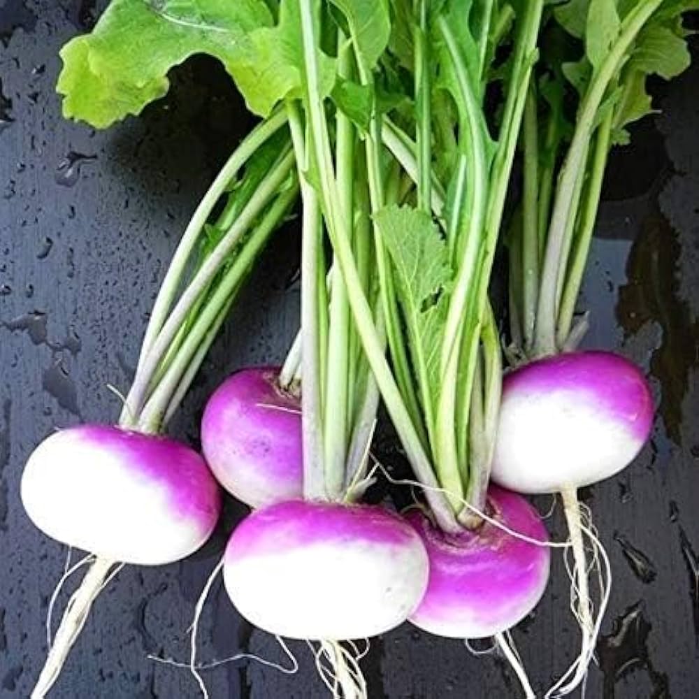 Slicemaster Vegetable seeds – perfect for fresh slicing vegetables - Dharaseeds