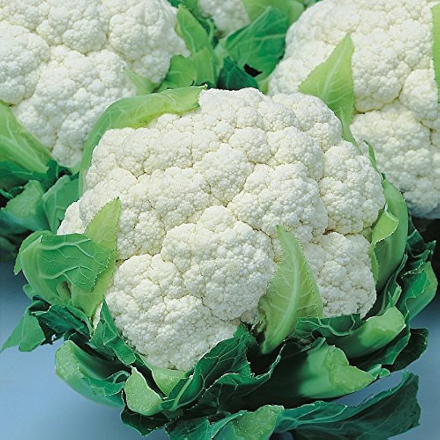 Snow Crown cauliflower seeds – early hybrid with compact, white heads - Dharaseeds