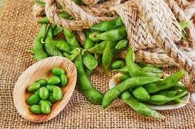 Soybean Vegetable Seeds for Planting, 100 Pcs pcs - Dharaseeds