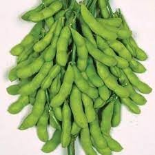 Soybean Vegetable Seeds for Planting, 100 Pcs pcs - Dharaseeds