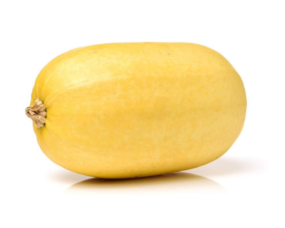 Spaghetti Squash seeds – 2018 heirloom non - GMO vegetable variety - Dharaseeds