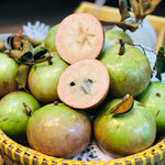 Specialty melon seeds with high germination Vietnam Milk Melon