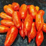 Speckled Roma Tomato Seeds for Planting - 100 Pcs pcs - Dharaseeds