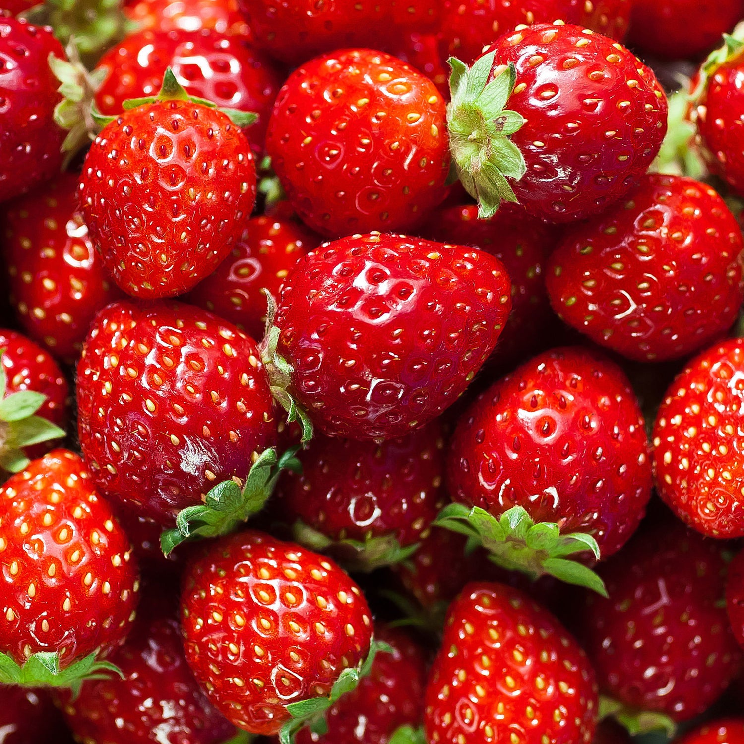 Fresh Strawberry – Sweet, Juicy, and Naturally Delicious