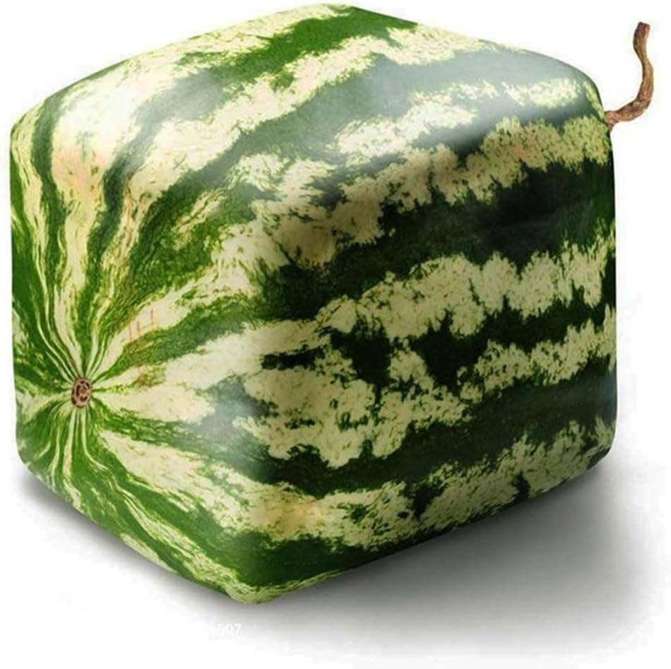 Non GMO square watermelon seeds for backyard gardening