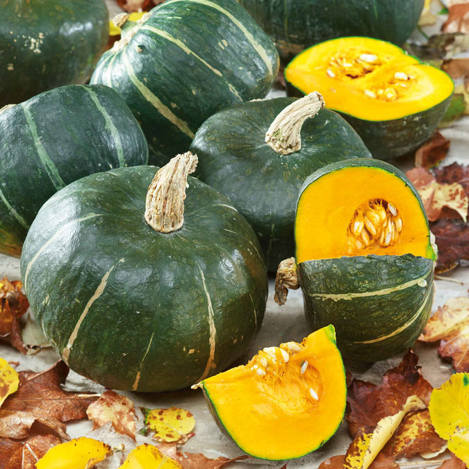 Squash (Winter) Seeds - Burgess Buttercup