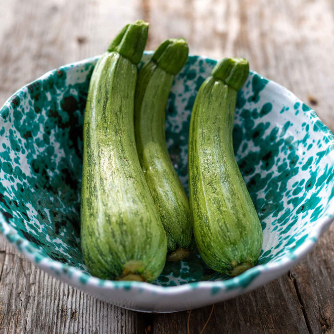 Squash (Summer) Seeds - Caserta