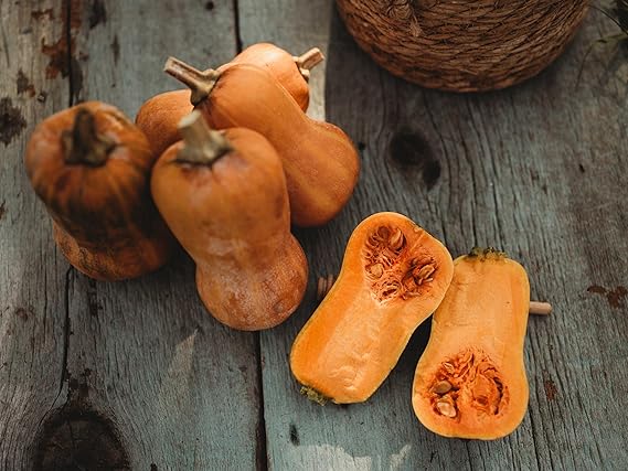 Squash Cucurbita Pepo Mini Garden Vegetable Seeds for Planting – Compact Variety for Small Garden Spaces and Raised Beds - Dharaseeds