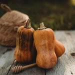 Squash Cucurbita Pepo Mini Garden Vegetable Seeds for Planting – Compact Variety for Small Garden Spaces and Raised Beds - Dharaseeds