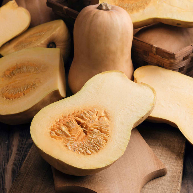 Squash (Winter) Seeds - Honeynut