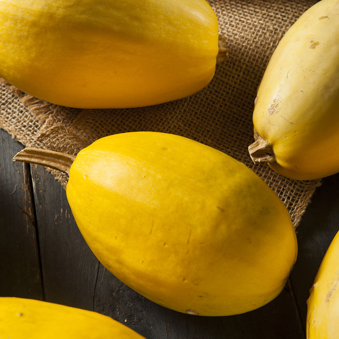 Squash Seeds (Organic) - Vegetable Spaghetti