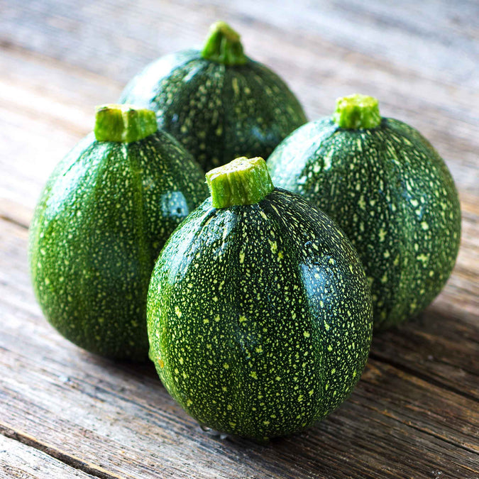 Squash (Summer) Seeds - Round Zucchini