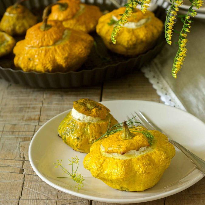 Squash (Summer) Seeds - Scallop Yellow Bush