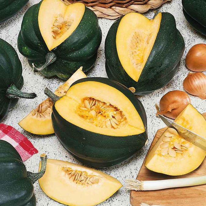 Squash (Winter) Seeds - Table King Bush