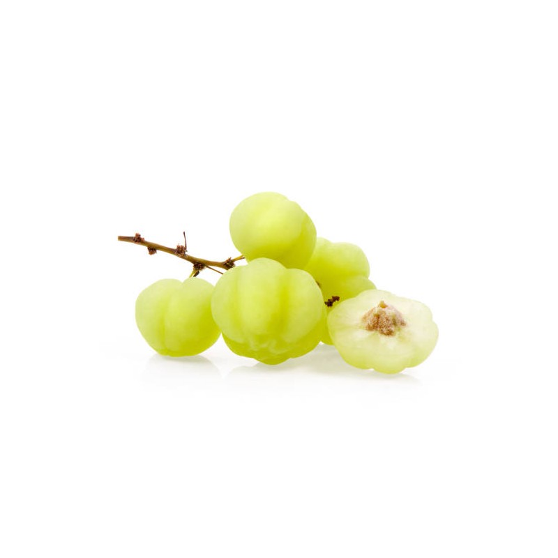 Little Gooseberry (Ribes uva-crispa)