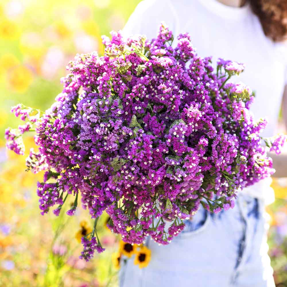 flowers high quality flower seeds for growing vibrant and colorful blooms in home gardens and landscapes organic flowers premium organic flower seeds for sustainable gardening and beautiful blossoms suitable for all climates