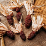 Strawberry popcorn seeds for home garden planting