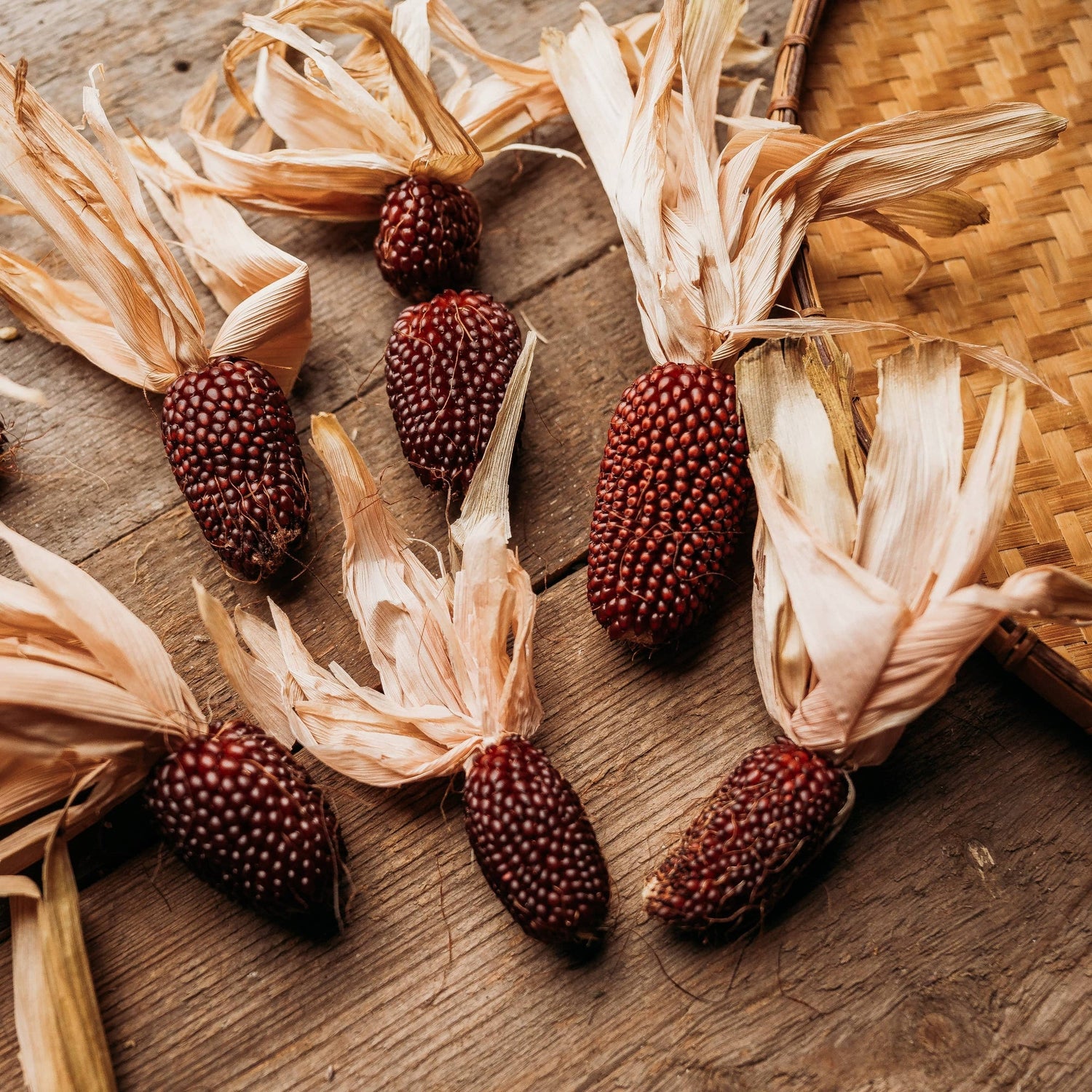 Strawberry popcorn seeds for home garden planting