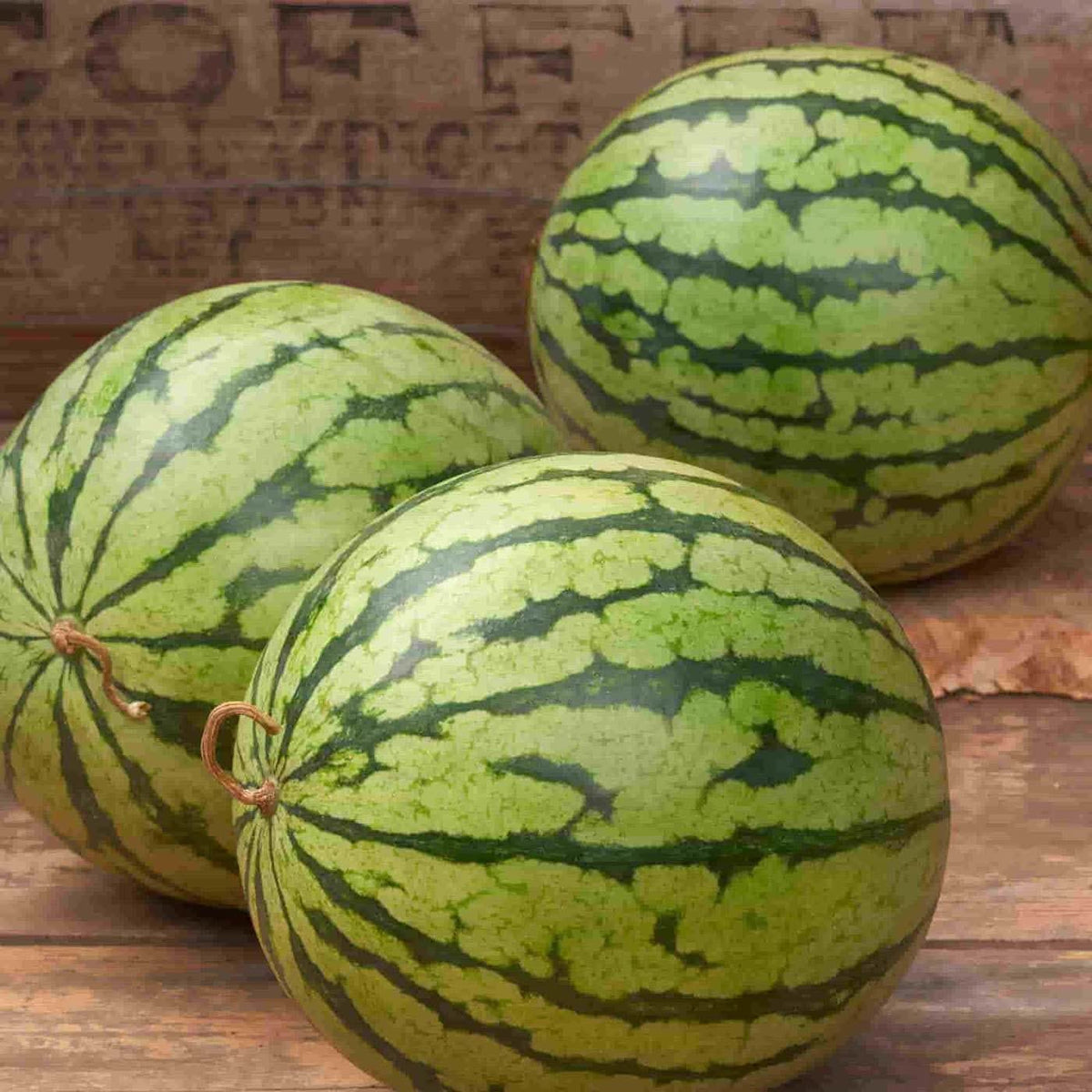 Sugar Pot watermelon seeds Citrullus lanatus for summer home garden planting
