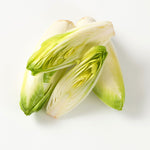 Sugarloaf Endive Seeds – Crisp Escarole with Sweet Heart and Rich Texture - Dharaseeds