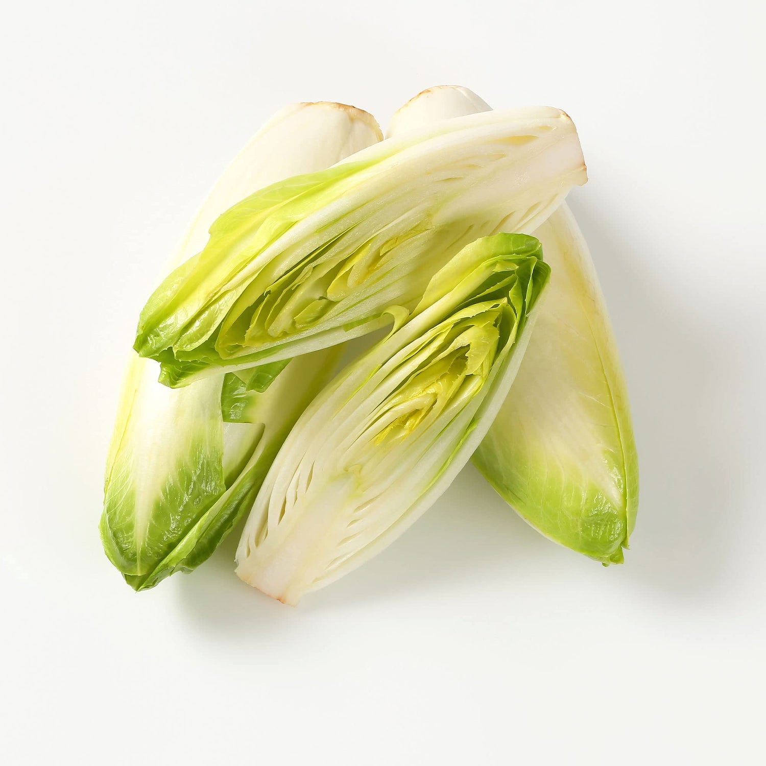 Sugarloaf Endive Seeds – Crisp Escarole with Sweet Heart and Rich Texture - Dharaseeds