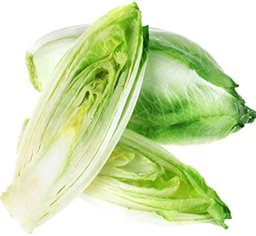 Sugarloaf Endive Seeds – Crisp Escarole with Sweet Heart and Rich Texture - Dharaseeds