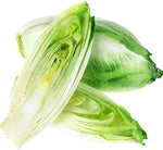 Sugarloaf Endive Seeds – Crisp Escarole with Sweet Heart and Rich Texture - Dharaseeds