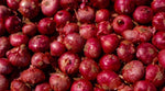 Summer Island Onion Seeds – Sweet & Tender Onions in Conventional & Pelletized Forms - Dharaseeds