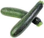 Summer Squash ‘Seneca Zucchini’ seeds – high - yielding productive variety - Dharaseeds