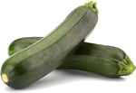 Summer Zucchino Pettine seeds – tender zucchini variety for summer harvest - Dharaseeds
