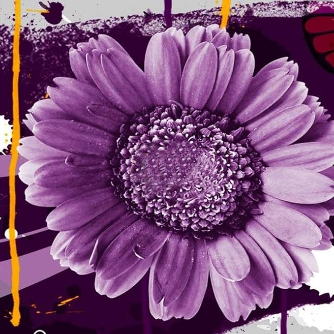 Sunflower Helianthus Annuus Purple Bonsai Flower Seeds for Planting – Compact Variety for Indoor Pots and Small Garden Spaces - Dharaseeds