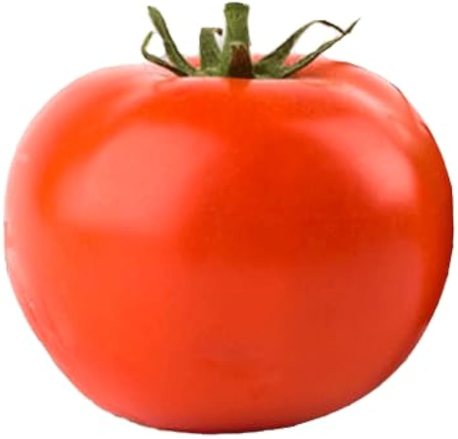 Super Fantastic VF Hybrid Tomato Seeds – Early, Firm Red Tomatoes with Great Flavor - Dharaseeds