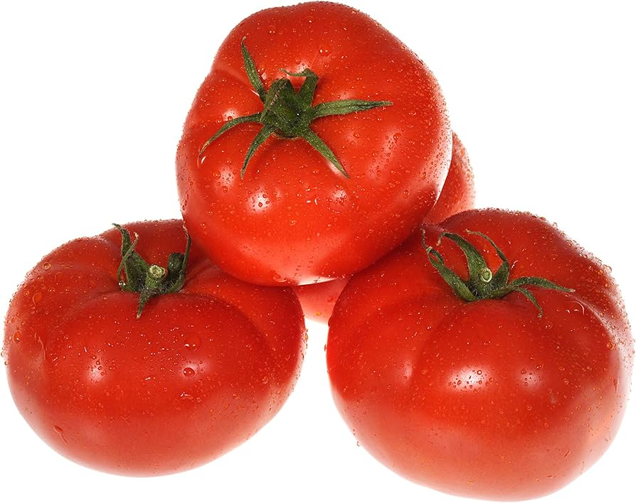 Super Fantastic VF Hybrid Tomato Seeds – Early, Firm Red Tomatoes with Great Flavor - Dharaseeds
