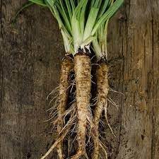 Suttons Vegetable Seeds for Planting - 100 Pcs pcs - Dharaseeds