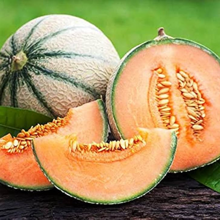 Sweet golden melon seeds for summer gardening