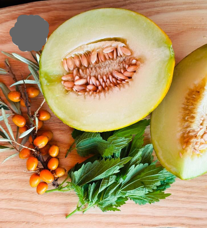 Sweet Kazakh melon seeds for planting in home vegetable gardens