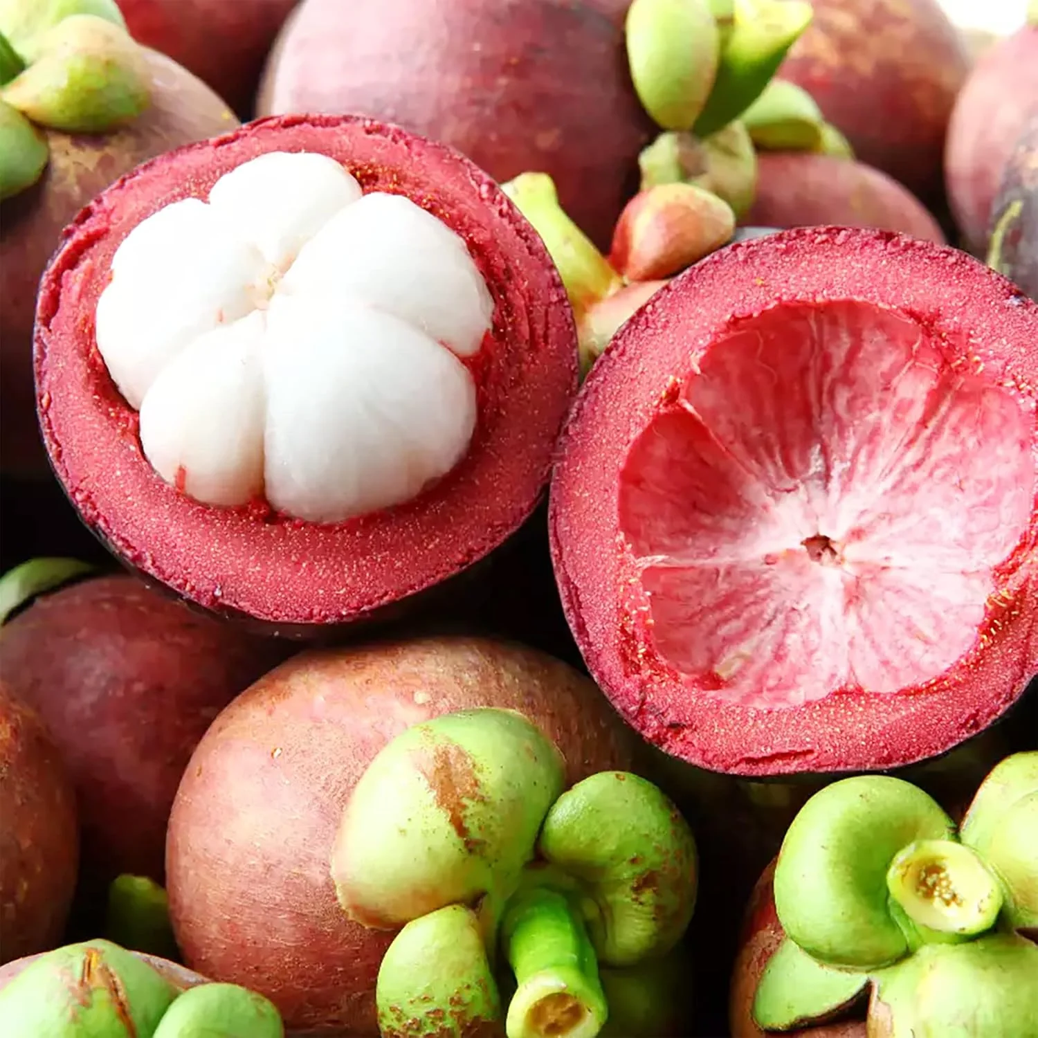Mangosteen Fruit Seeds for Planting - Growing Sweet & Exotic Tropical Fruits, GMO Free