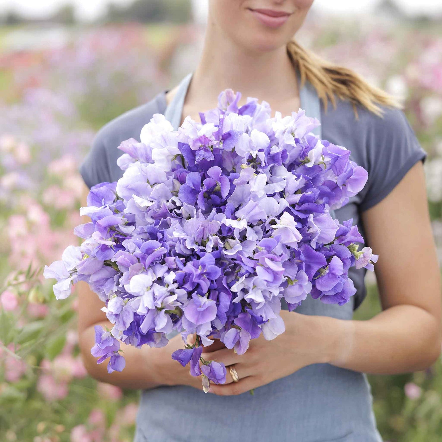 flowers high quality flower seeds for growing vibrant and colorful blooms in home gardens and landscapes organic flowers premium organic flower seeds for sustainable gardening and beautiful blossoms suitable for all climates