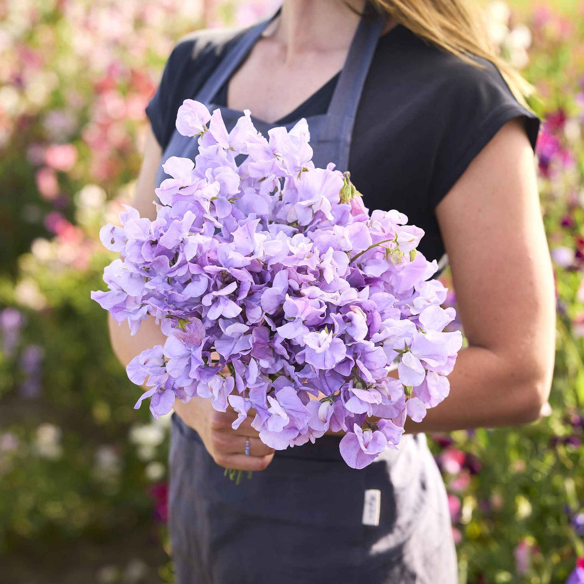 flowers high quality flower seeds for growing vibrant and colorful blooms in home gardens and landscapes organic flowers premium organic flower seeds for sustainable gardening and beautiful blossoms suitable for all climates